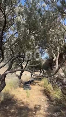 Land for Sale Ain Kfaa Jbeil Area 6590Sqm — 5