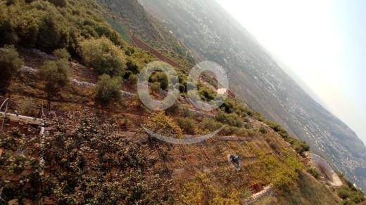 Lands for sale in Sir Denniyeh - عقار ارض مع مبنى٣طوابق