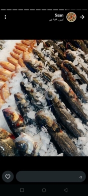 Food & Drink in Ain el-Remmaneh - عين الرمانة شارع العريض