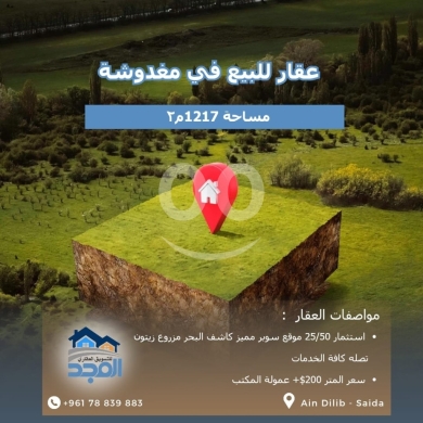 Lands for sale in Maghdoucheh - عقار مميز للبيع في مغدوشة - مساحة 1217 م٢ - كاشف البحر ومزروع زيتون
