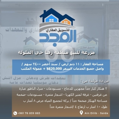 Other real estate in Zefta - مزرعة ضخمة للبيع في زفتا، حي الملولة - مساحة 11 دونم - مجهزة بالكامل - $820,000