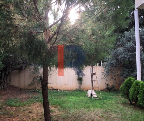 R9-3011 Villa for Sale in Nakhleh Koura – 450 m² Built, 860 m² Land, 5 Floors — 3