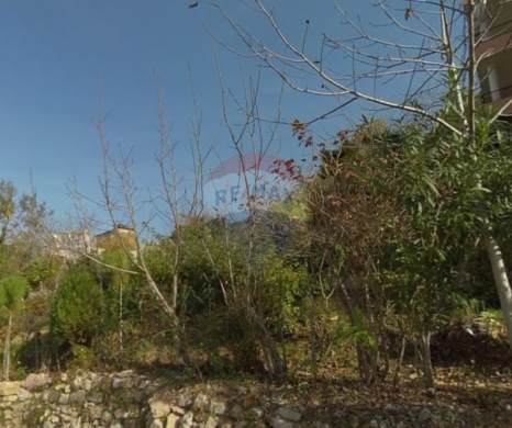 Lands for sale in Aicha Bakkar - R9-3020 Land for Sale in Akkar Atika - 1,881 m² Agricultural, Planted with Fruit Trees