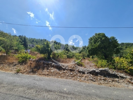 Lands for sale in Lehfed - Land for Sale Lehfed Jbeil Area 2919Sqm