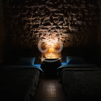 شقق للإيجار في صيدا - Beit Tout Guesthouse in Saida - 250 years old authentic Apartment rental