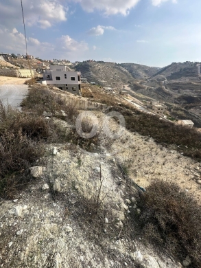 Lands for sale in Nabatyeh - أرض للبيع في المصيلح ١٢٠٠ م٢ | جاهزة للعمار وسند أخضر ٢٤٠٠ سهم