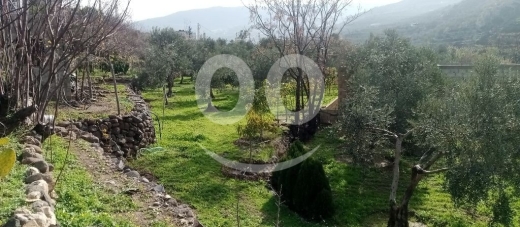 Lands for sale in Koucha - أرض عقارية للبيع