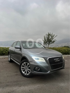 Audi in Sarba - Audi Q5 2014
