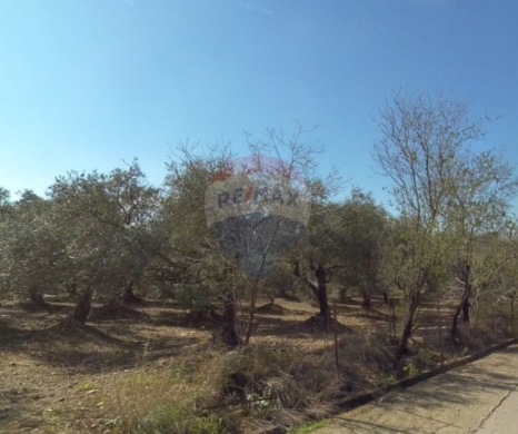 Lands for sale dans Berqayel - R9-3041 Agricultural Land for Sale in Berqayek Akkar - 15,000 m²