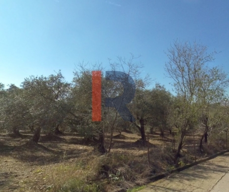 R9-3041 Agricultural Land 15,000m² for Sale in Berqayel – Akkar