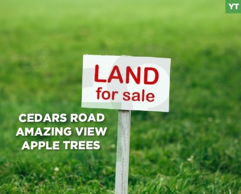 Prime Land for Sale/Cedars road/Amazing view/Apple trees/Becharre-بشري/REF#YT140298