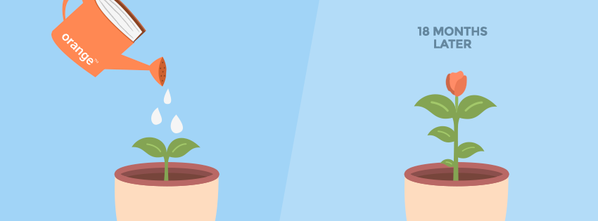 How Orange doubled the size of its developer community in 18 months.