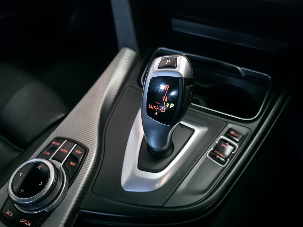 BMW 3 SERIES 320D M SPORT A/T (F30) - 16
