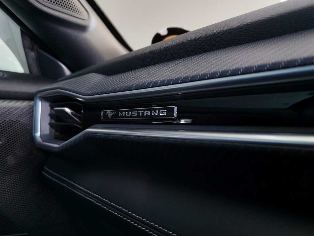 FORD MUSTANG MUSTANG 5.0 GT A/T - 14