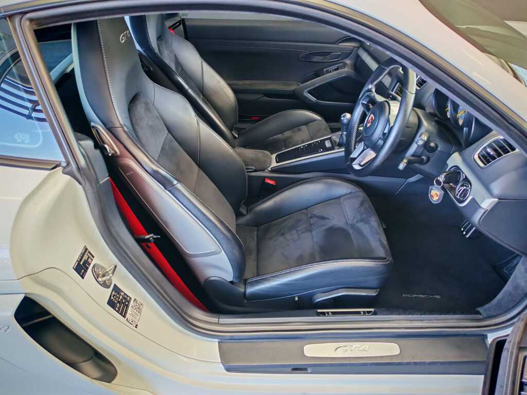 PORSCHE CAYMAN CAYMAN GT4 (981)