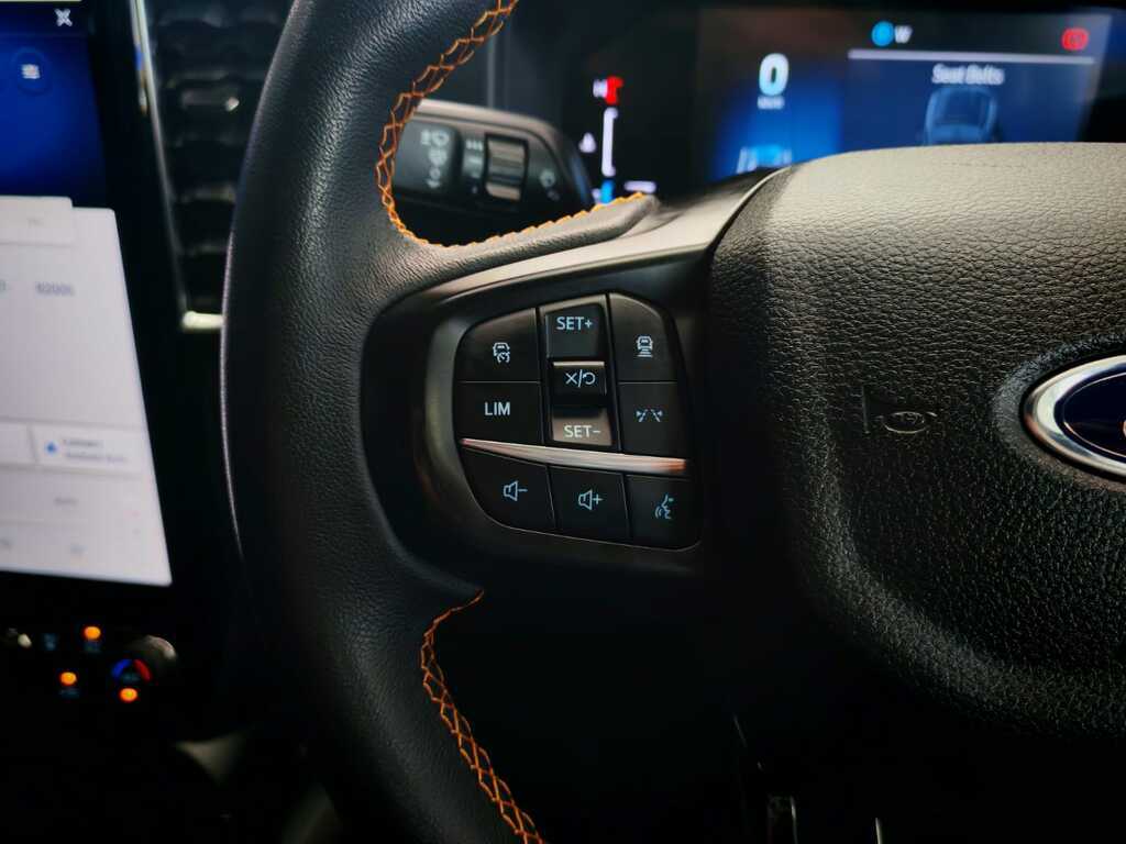 FORD RANGER RANGER 2.0D BI-TURBO WILDTRAK 4X4 A/T D/C P/U - 19