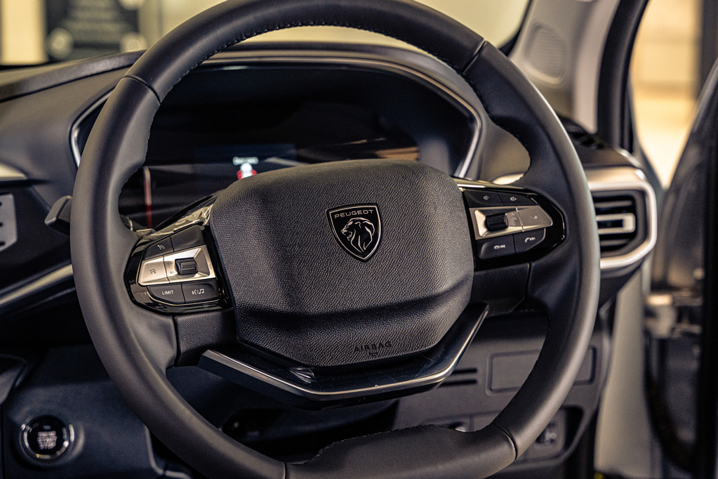 PEUGEOT LANDTREK LANDTREK 1.9D ALLURE P/U D/C A/T - 13