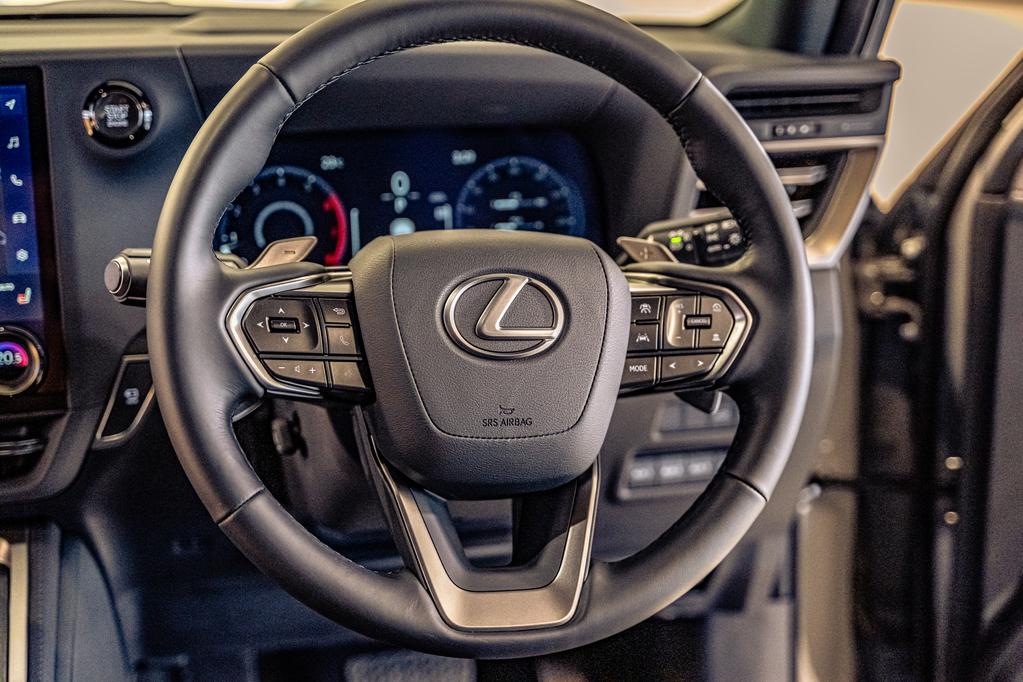 LEXUS GX GX 3.5T OVERTRAIL - 9