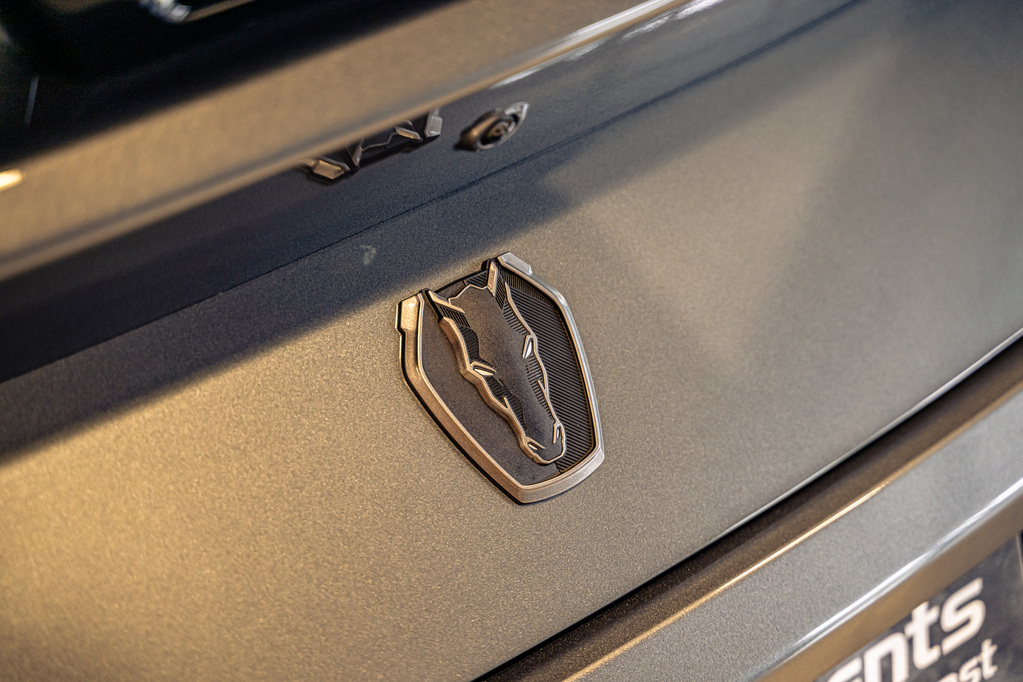 FORD MUSTANG MUSTANG 5.0 DARK HORSE A/T - 14