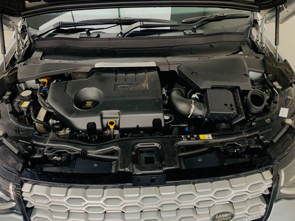 Thumbnail Image Thumbnail Image