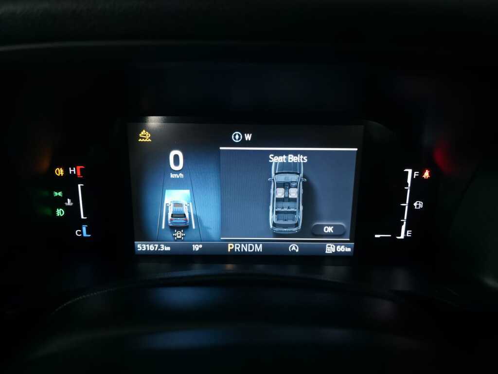 FORD EVEREST EVEREST 3.0D V6 WILDTRACK AWD A/T - 19