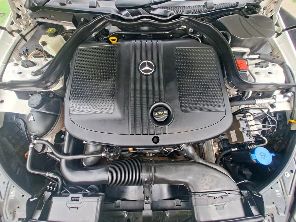 Thumbnail Image Thumbnail Image