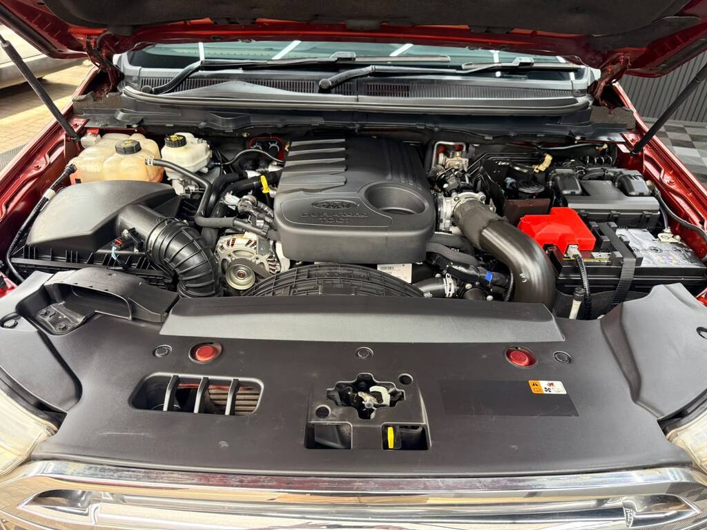 FORD EVEREST EVEREST 3.2 TDCi LTD 4X4 A/T - 19