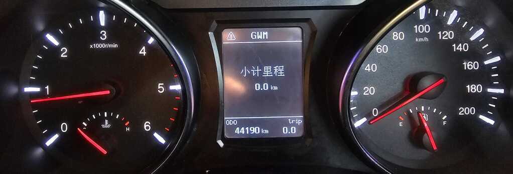 GWM STEED 5 STEED 5 2.0 SX D/C P/U - 20