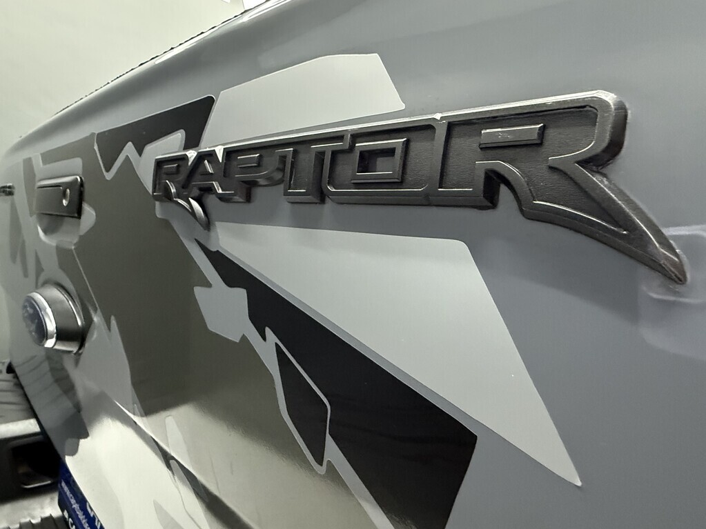 FORD RANGER RANGER RAPTOR 2.0D BI-TURBO 4X4 A/T P/U D/C - 17