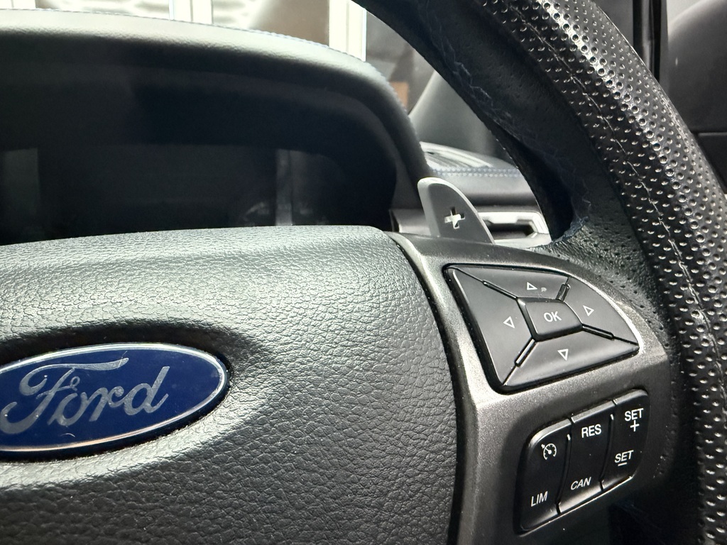 FORD RANGER RANGER RAPTOR 2.0D BI-TURBO 4X4 A/T P/U D/C