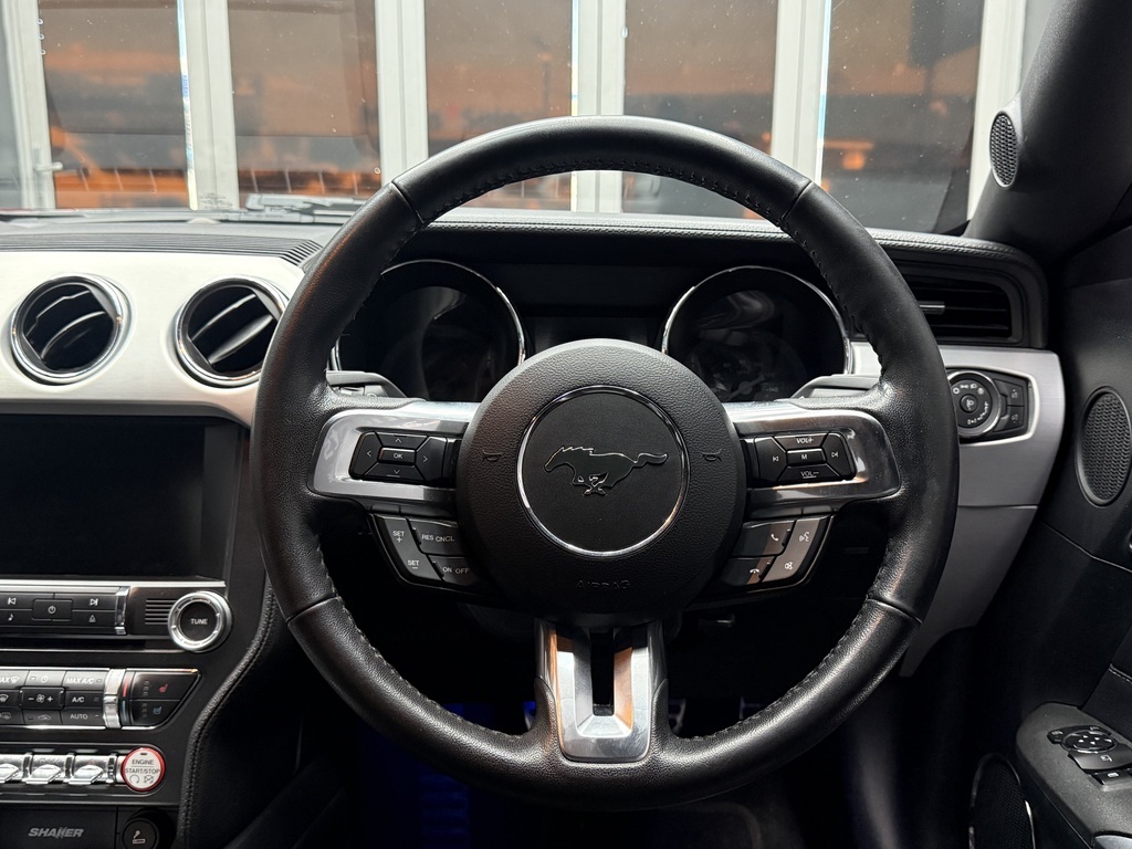 FORD MUSTANG MUSTANG 5.0 GT - 11