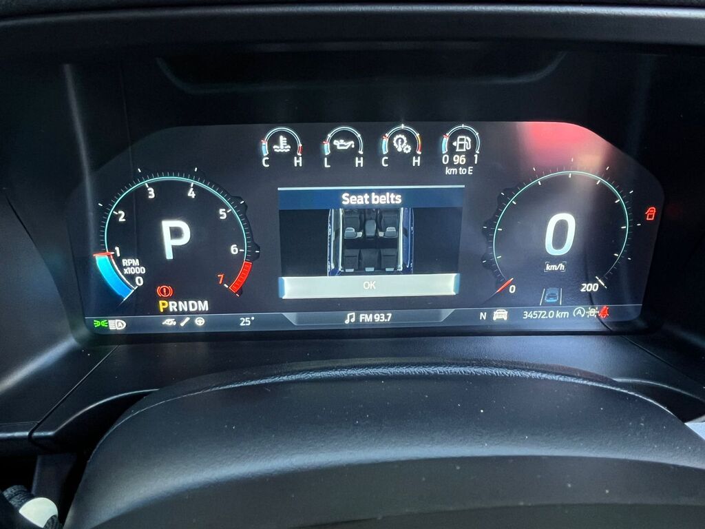 FORD RANGER RANGER 3.0 V6 BI TURBO ECOBOOST RAPTOR 4X4 A/T - 14