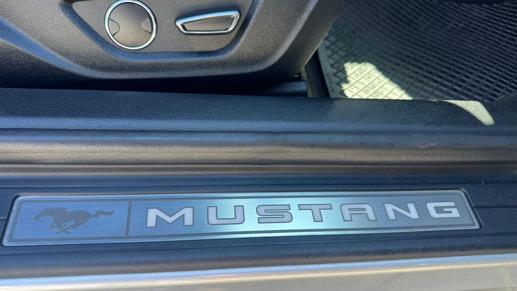 FORD MUSTANG MUSTANG 5.0 GT A/T - 13