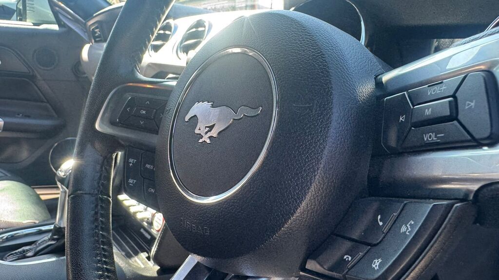 FORD MUSTANG MUSTANG 5.0 GT A/T - 17