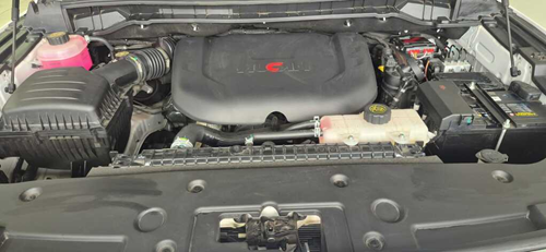 FOTON TUNLAND TUNLAND 2.0D V9 LTD 4X4 A/T P/U D/C - 11