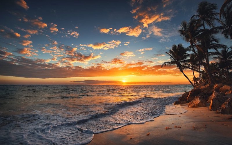 UnVoxxed Hawaii