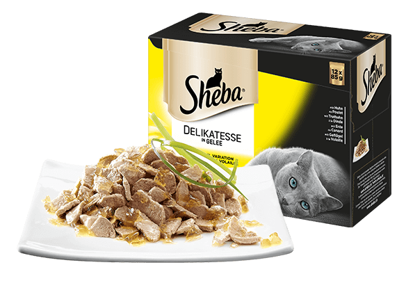 Knusprige Suppen Rezepte - Eine Delikatesse Für Jeden Tag