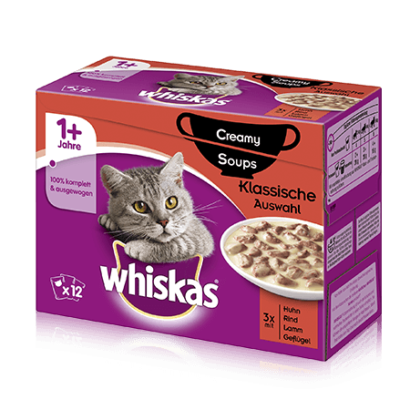 1+ Creamy Soups Klassische Auswahl 12x85g