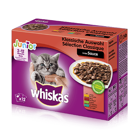 Junior Klassische Auswahl in Sauce 12x100g