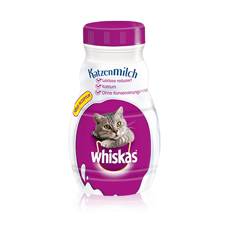 Katzen Milch