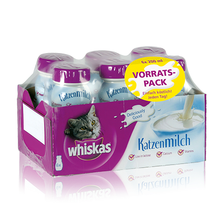Katzen Milch 6Pack