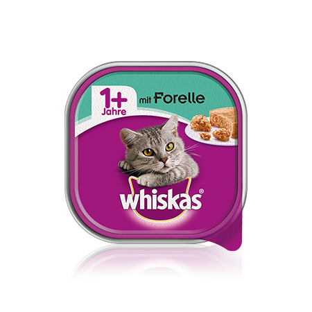 Schale 1+ mit Forelle
