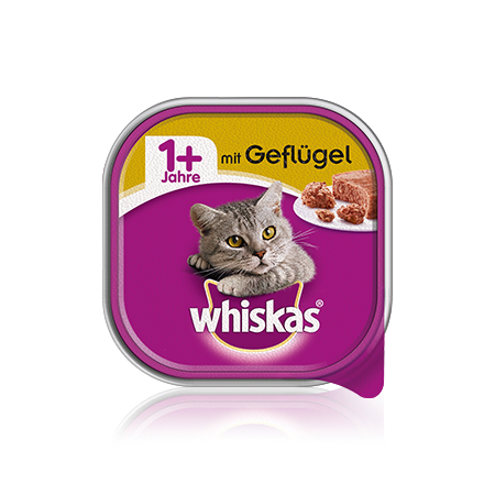 Schale 1+ mit Geflügel