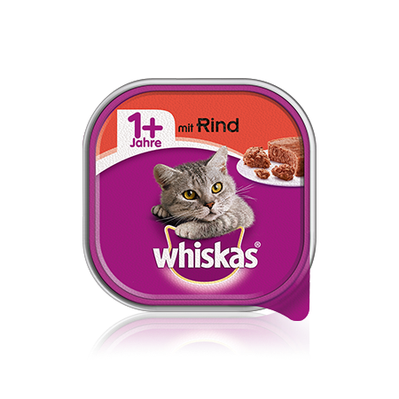 Schale 1+ mit Rind