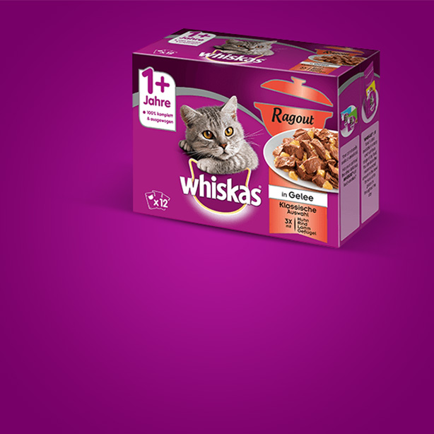 Wie Viel Sollten Katzen Trinken Whiskas