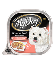 Gourmet Beef with Cheese