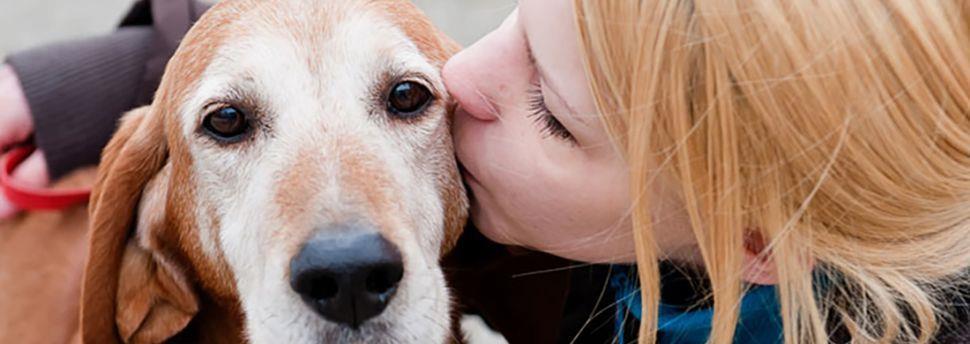 Apprendre à votre chien à s’asseoir