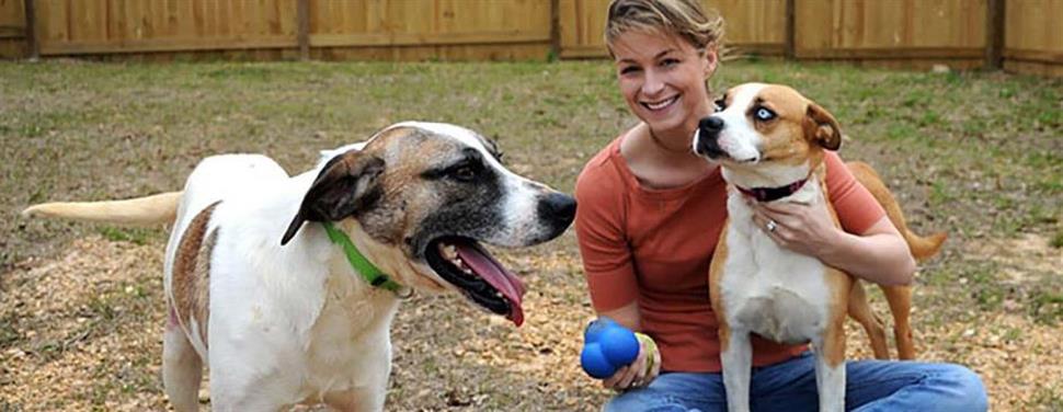 Recueillir un chien abandonné