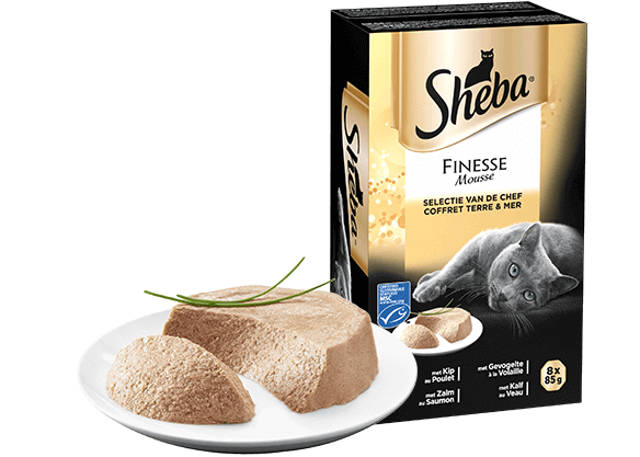 sheba finesse mousse