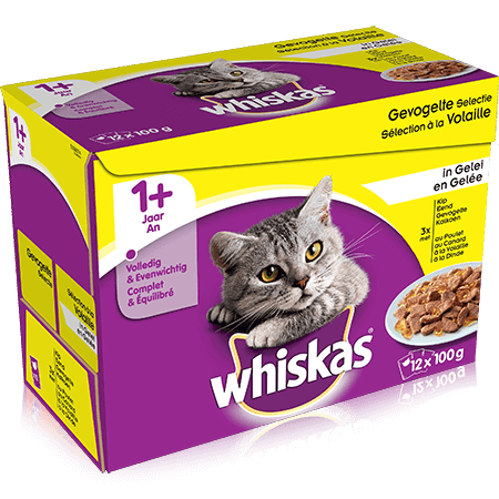 WHISKAS Maaltijdzakjes Gevogelteselectie in Gelei 12x100g